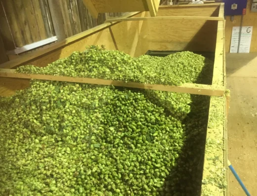 Distribution de Houblon