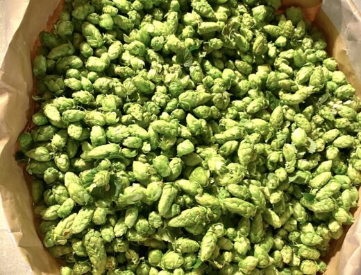 Distribution de Houblon