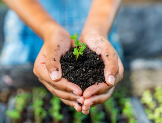 Emballage durable : pellicules recyclables, recyclées (PCR) et compostables
