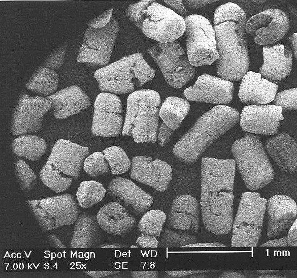 Dry yeasts and fermentation solutions for beverages