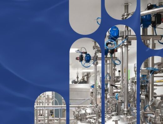 Haleson – produits et installations